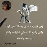 Following profile image