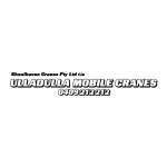 Shoalhaven Cranes Profile Picture
