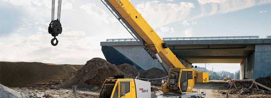 Shoalhaven Cranes Cover Image