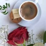 Following profile image