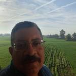 Following profile image