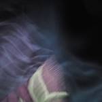 Following profile image