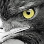 Following profile image