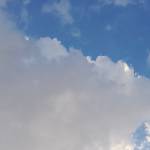Following profile image