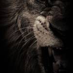 Following profile image