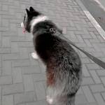 Following profile image
