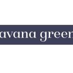 AAVANA GREENS PVT LTD Profile Picture