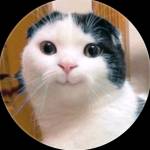 Following profile image