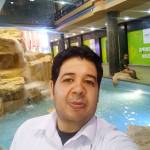 mohamed zaher Profile Picture