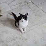 Following profile image