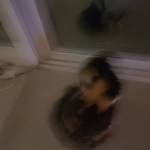 Following profile image