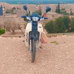 Following profile image