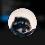 Dhia Ouni Profile Picture