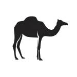 Following profile image
