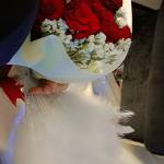 Nora Soliman Profile Picture