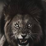 بركات جاسم علي Profile Picture