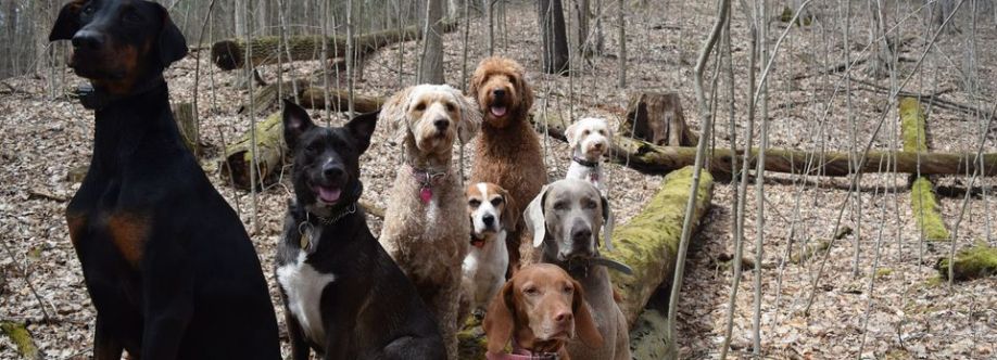 K9 Academy cover