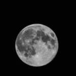 Following profile image