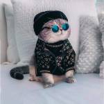Kasem Malik Profile Picture
