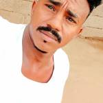 محمدنور سنهوري Profile Picture