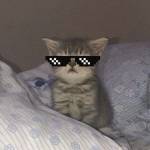 فتحى مشهور Profile Picture