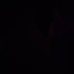 Oka Atef Profile Picture
