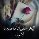 عبدالرحمن عبدالرحمن Profile Picture