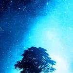 Following profile image