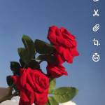 Following profile image