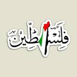 abdo Shabana Profile Picture