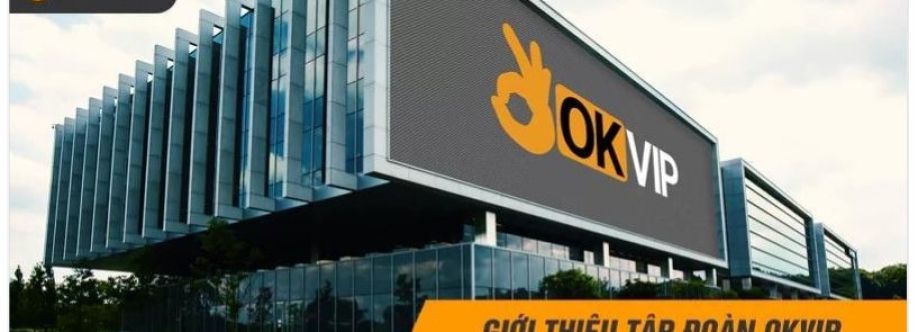 OKVIP Racing cover