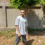 Mostafa Mhamed Profile Picture