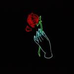 Roaa Bani Mouas Profile Picture