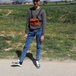 bouras lakhdar Profile Picture