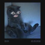 Following profile image