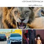 معتز محمد Profile Picture