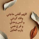 اماني احمد Profile Picture