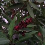 Following profile image