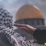 حمزاوي ابو الوفا Profile Picture