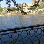 Yousef Mohamed Profile Picture