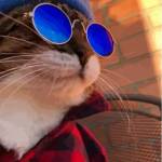 Following profile image