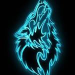 Adem Hamdi Profile Picture