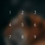 Following profile image