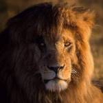 Following profile image