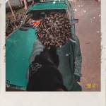 Following profile image