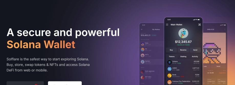 solflare wallet cover