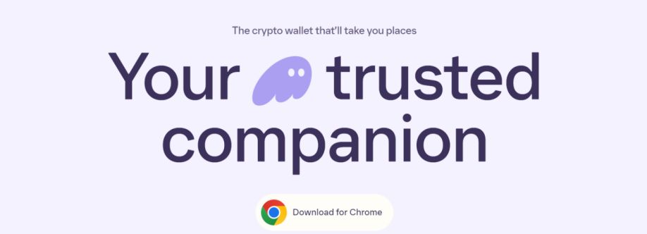 phantom wallet cover