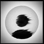 Ali Ali Profile Picture