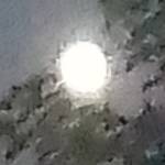 Following profile image