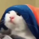 Following profile image